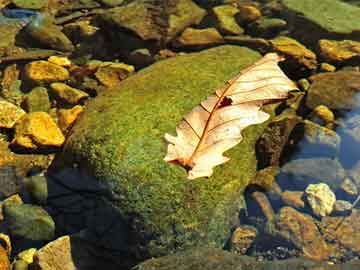 澳門三肖三碼期期準(zhǔn)免費(fèi)告,高效計(jì)劃設(shè)計(jì)實(shí)施_The74.245