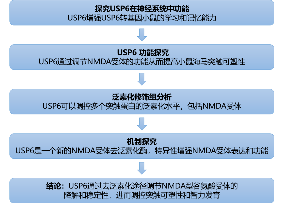 新澳精準資料免費提供208期,高速響應(yīng)策略解析_kit84.226