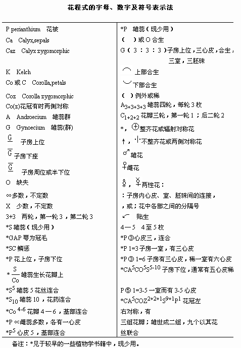 2024年11月6日 第28頁