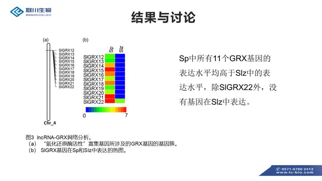 新澳資料免費(fèi)大全,調(diào)整細(xì)節(jié)執(zhí)行方案_GT80.634