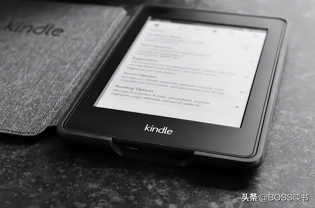 2024正版資料大全開碼,數據計劃引導執(zhí)行_Kindle98.50