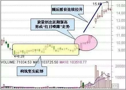 澳門天天彩期期精準(zhǔn),高度協(xié)調(diào)策略執(zhí)行_輕量版80.105