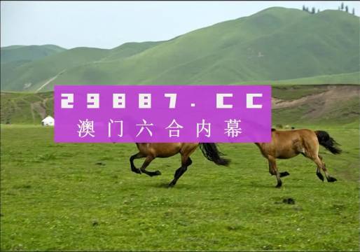 2024澳門精準正版生肖圖,數(shù)據(jù)導向策略實施_HDR84.981