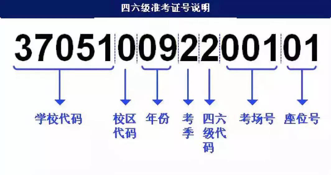 2024澳門濠江免費資料,迅速解答問題_錢包版54.433