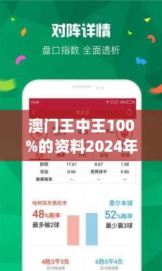 2024年澳門王中王,平衡策略實(shí)施_X88.753