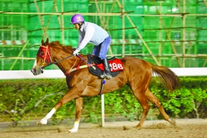 2024今晚澳門(mén)開(kāi)特馬四不像,可靠評(píng)估解析_DP38.835