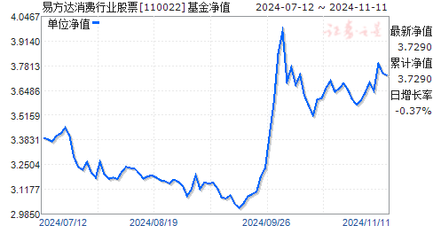 全面解讀，今日最新凈值公布，關(guān)于110022基金凈值查詢結(jié)果分析