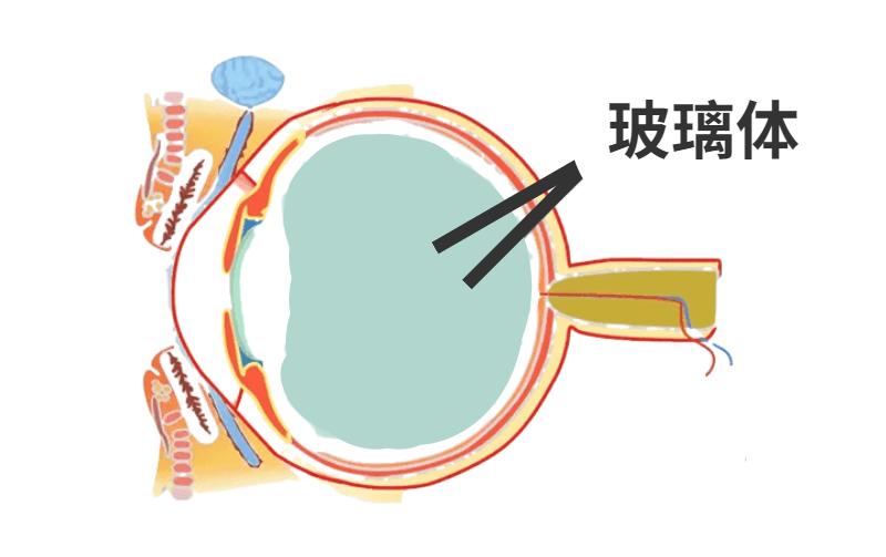 最新食物含碘概覽表