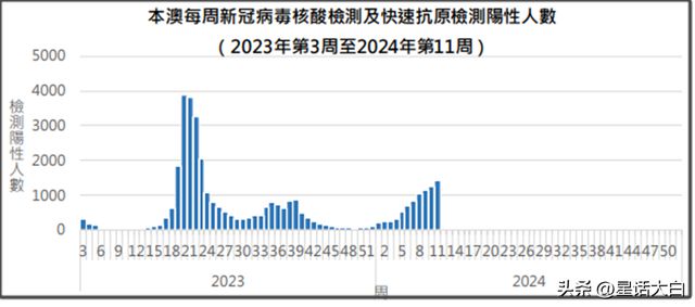 澳門廣東八二站,數(shù)據(jù)解析支持計劃_冒險款21.870