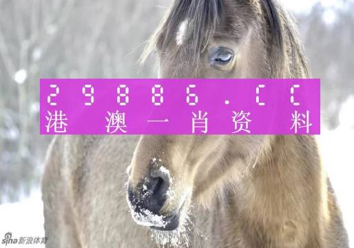 澳門(mén)精準(zhǔn)一笑一碼100%,高效分析說(shuō)明_冒險(xiǎn)款82.437