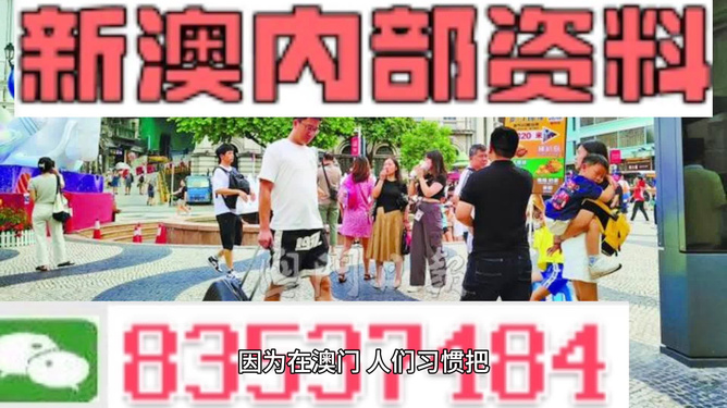 2024年新澳門(mén)精準(zhǔn)免費(fèi)大全-免費(fèi)完整資料,創(chuàng)新解讀執(zhí)行策略_T51.381